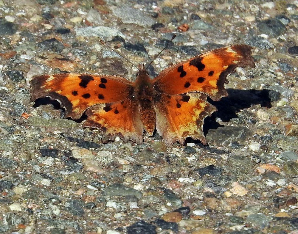 ks20240307_4.jpg