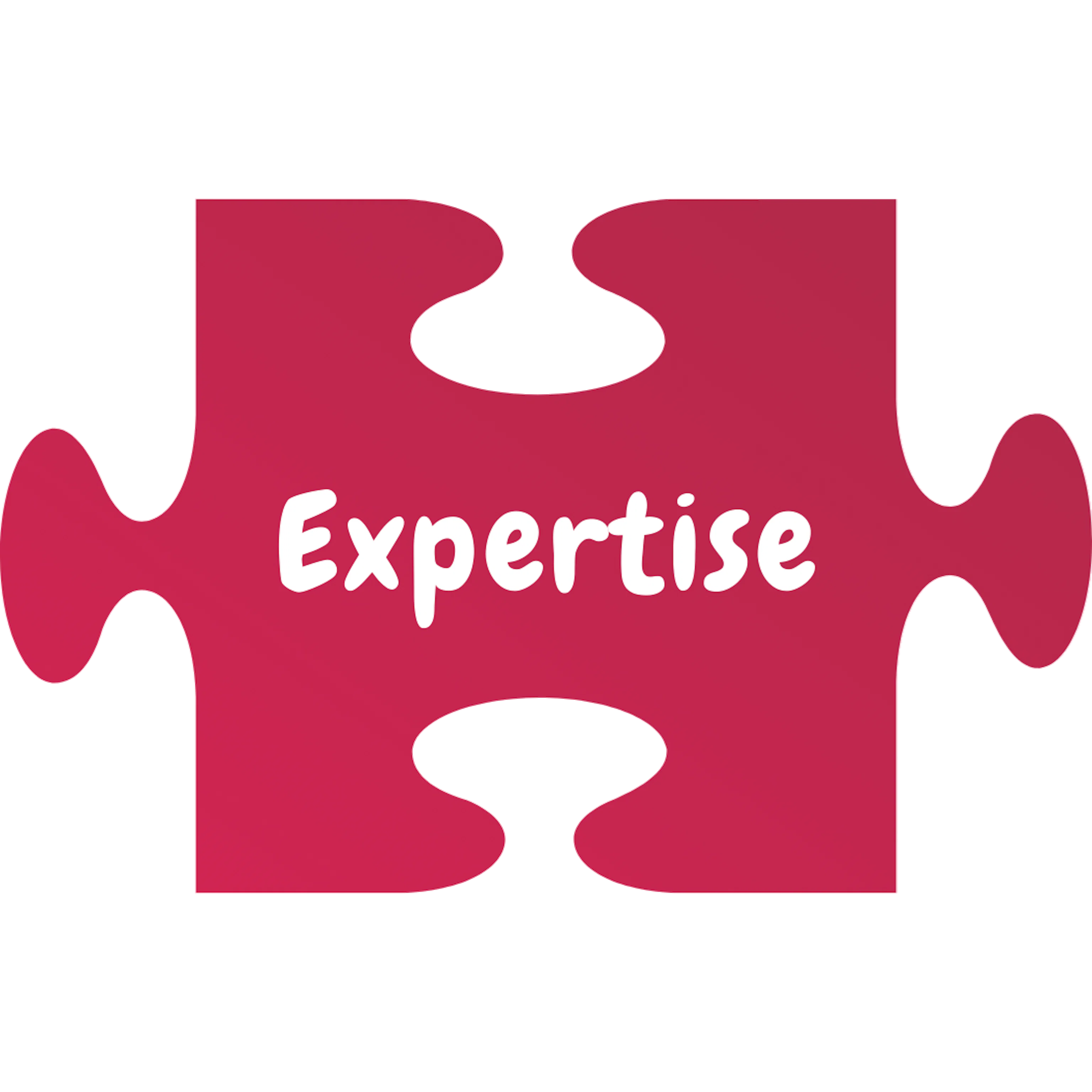 Partie extéireure du puzzle réprésentant l'expertise sur la structure d'un site web évolutif