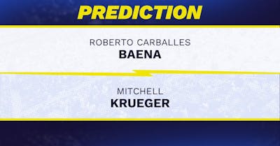 Roberto Carballes Baena vs. Mitchell Krueger Prediction, Odds, Picks for ATP Hangzhou 2024