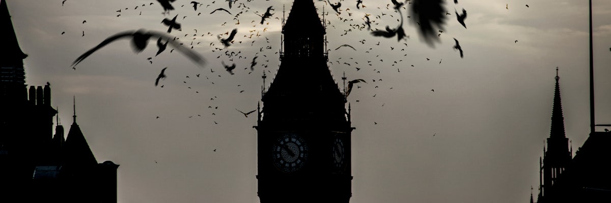 undefined's banner image