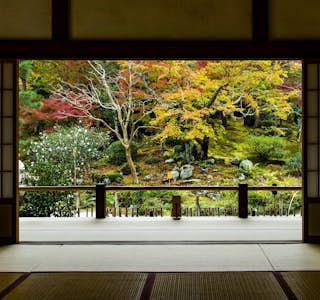 Discovering Kyoto: the Ancient Capital of Japan's gallery image