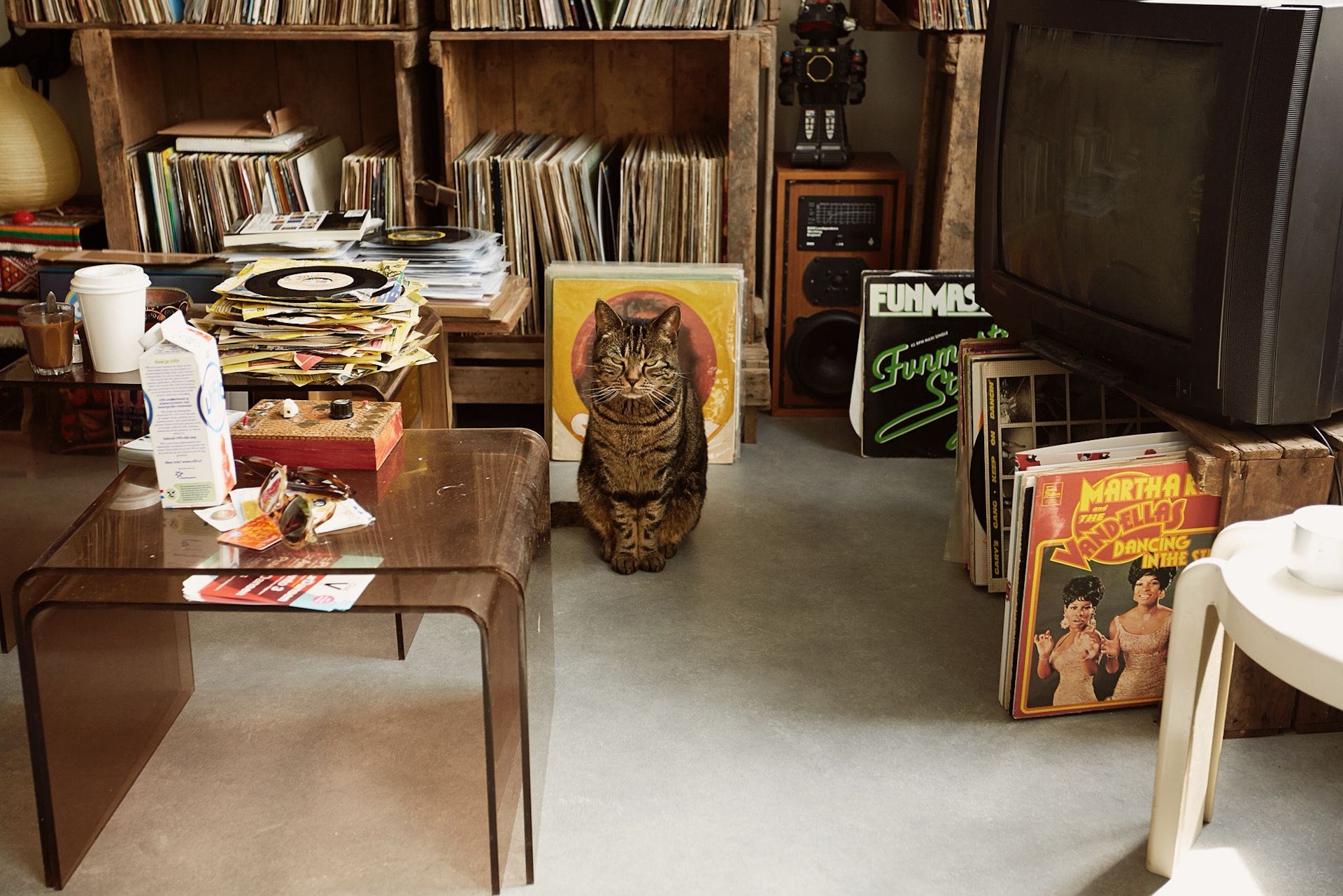 Breakfast Club Coco: Palo Santo Discos