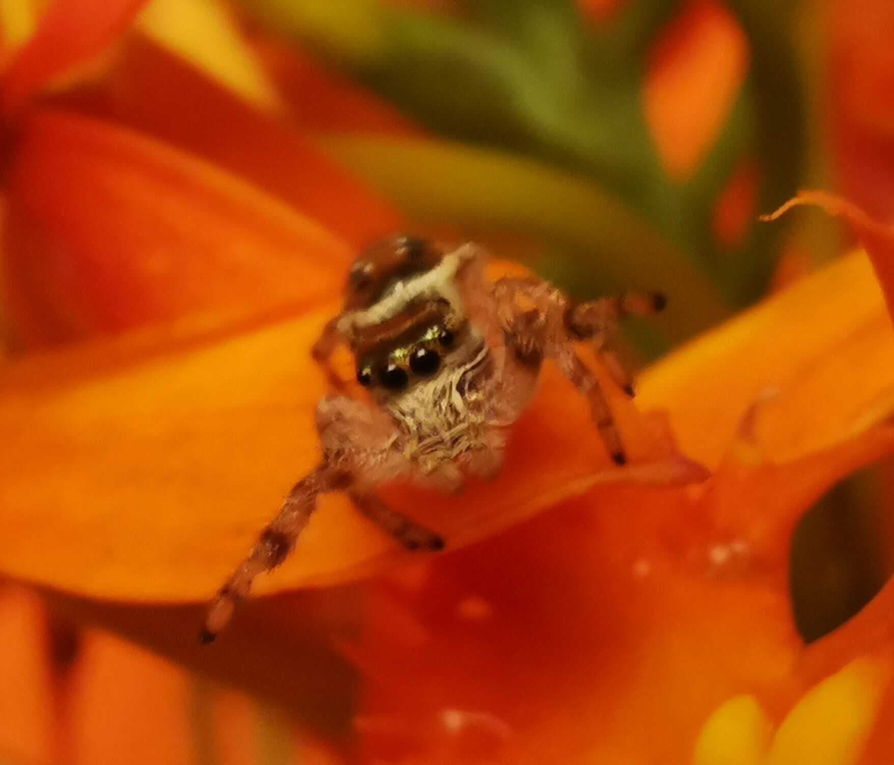 Matias Aguayo's 2031 Radio Show