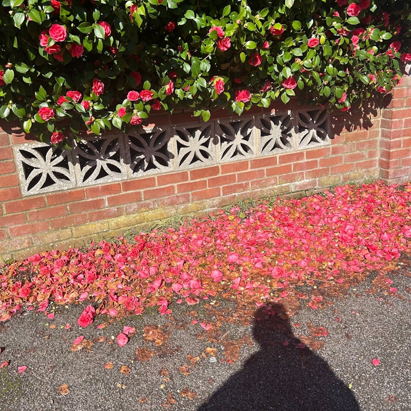 Tako Ti Je To: Miss Mash