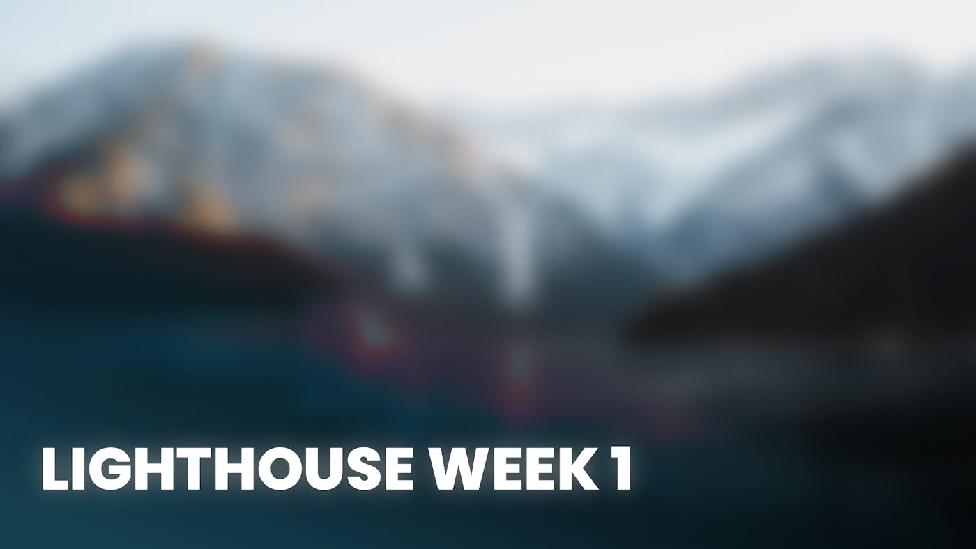 Week 1 Progress Update