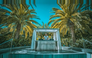 los cabos party calendar