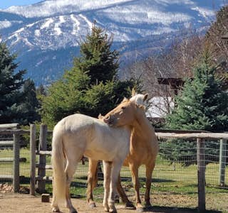 A Day at Dunrovin Ranch's gallery image
