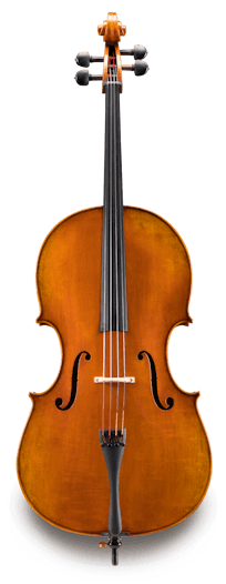 Eastman - Cello - VC702