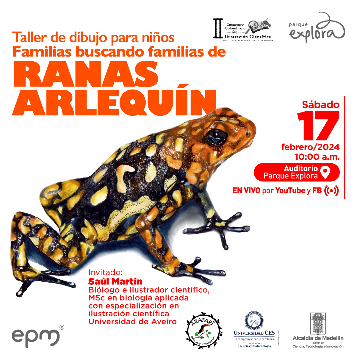 Ilustración. Sobre un fondo blanco, una rana arlequín mira hacia la derecha, su cuerpo es café oscuro con manchas amarillo claro y naranja. En la parte superior un texto: "Taller de dibujo Familias buscando familias  RANAS ARLEQUÍN Invitado: Saúl Martín, biólogo e ilustrador científico. MSc en biología aplicada con especialización en ilustración científica Universidad de Aveiro Portugal. Sábado 17 de febrero de 2024 a las 10 de la mañana en el Auditorio del Parque Explora, transmisión por Facebook y YouTube"
