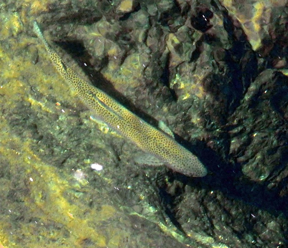 ks20231207_4.jpg