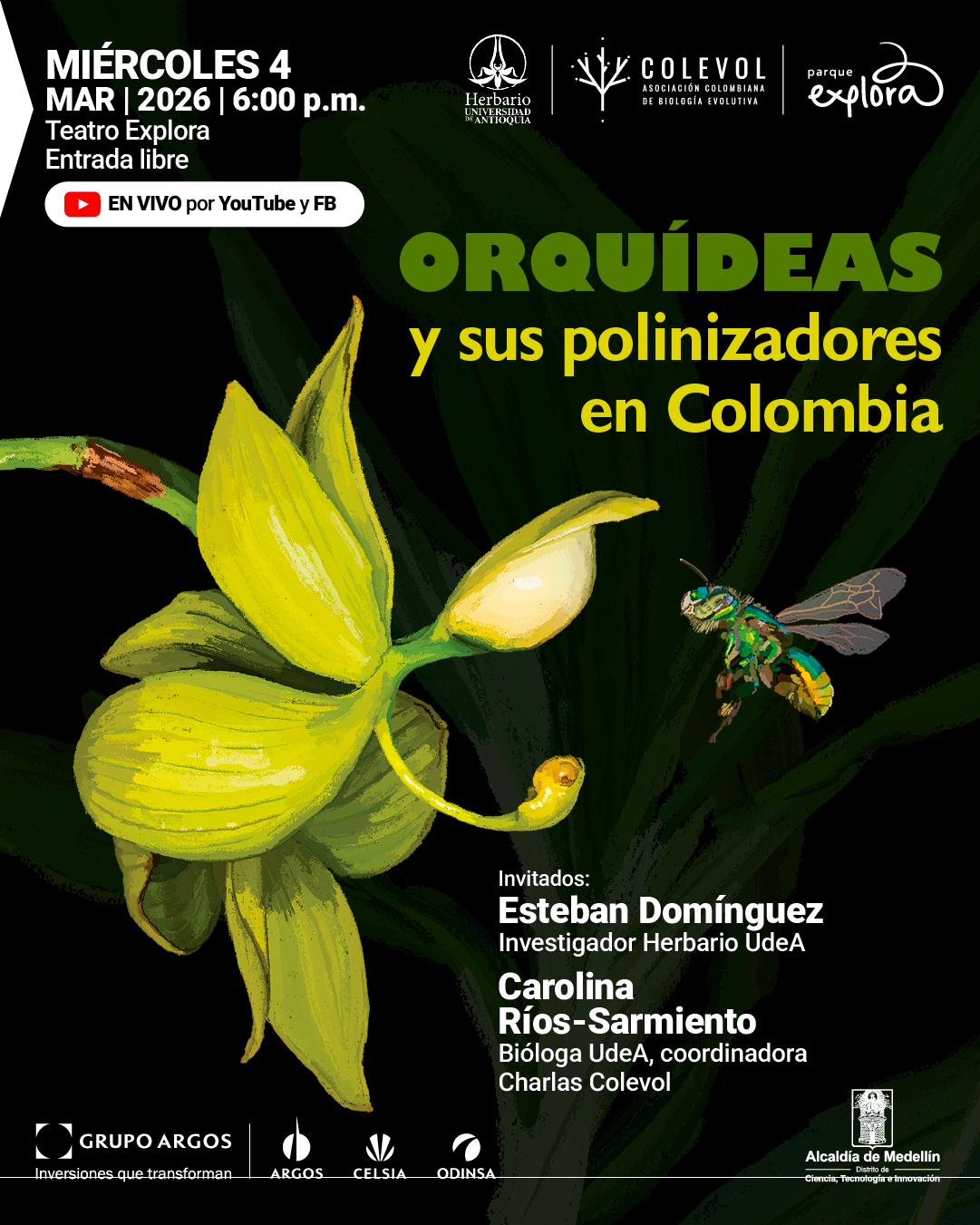 Ilustración. Sobre un fondo oscuro con hojas verdes, se observa una orquídea amarilla de pétalos alargados y labelo curvo; a la derecha vuela una abeja verde con alas extendidas. En la parte superior izquierda se lee: “Miércoles 4 mar | 2026 | 6:00 p.m. Teatro Explora Entrada libre”. Debajo, dentro de un recuadro, dice: “En vivo por YouTube y FB”. En el centro derecho: “Orquídeas y sus polinizadores en Colombia”. En la parte inferior derecha: “Invitados: Esteban Domínguez Investigador Herbario UdeA Carolina Ríos-Sarmiento Bióloga UdeA, coordinadora Charlas Colevol”.