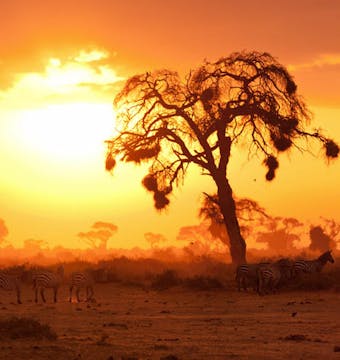 Mountains & the Masai Mara