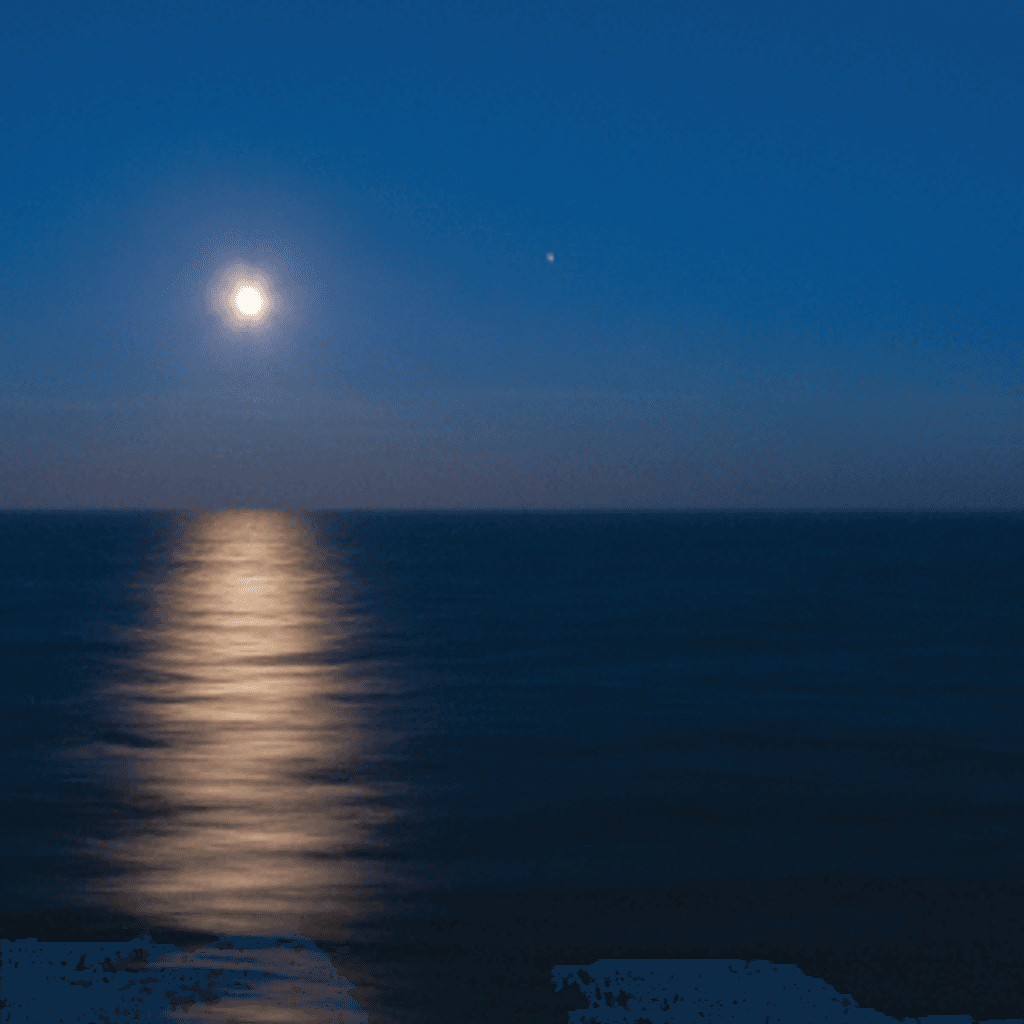 Soothing Sounds: Hector Plimmer & Friends // 09-07-20