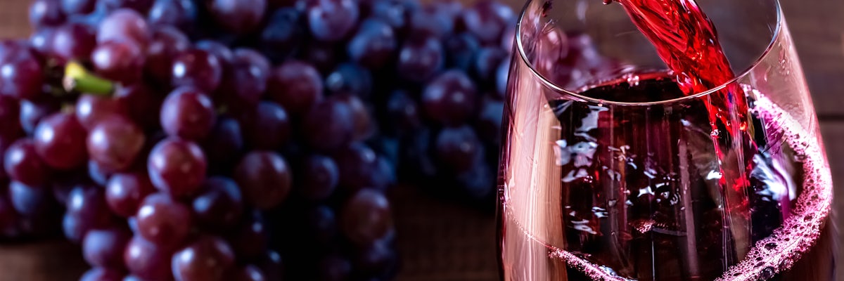 undefined's banner image