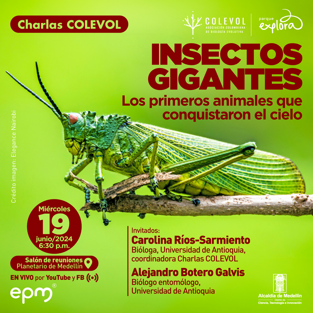 Foto. Sobre un fondo verde, al lado derecho una grillo. En la parte superior un texto que dice:" Insectos gigantes. Los primeros animales que conquistaron el cielo. Miércoles 19 junio 2024, 6: 30 p.m. Salón de reuniones Planetario de Medellín. Invitados: Alejandro Botero Galvis, biólogo entomólogo, Universidad de Antioquia, y Carolina Ríos Sarmiento, bióloga  Universidad de Antioquia, coordinadora Charlas Colevol".