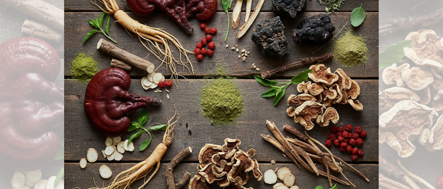 Natural Stress Support: A Beginner’s Guide to Adaptogens
