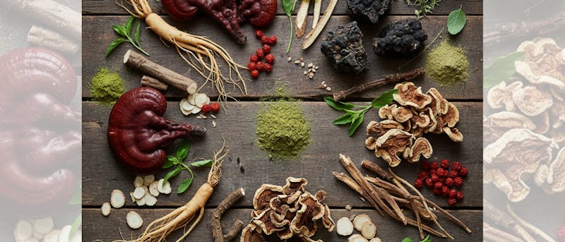 Natural Stress Support: A Beginner’s Guide to Adaptogens