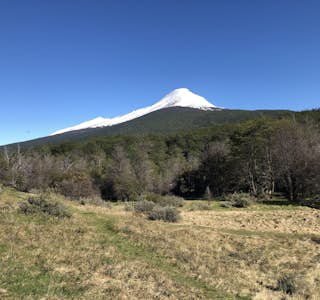 Tour to Tierra del Fuego National Park's gallery image