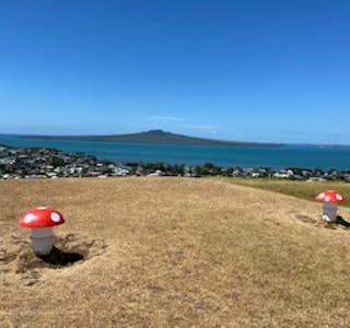 Auckland Volcano Walk's gallery image