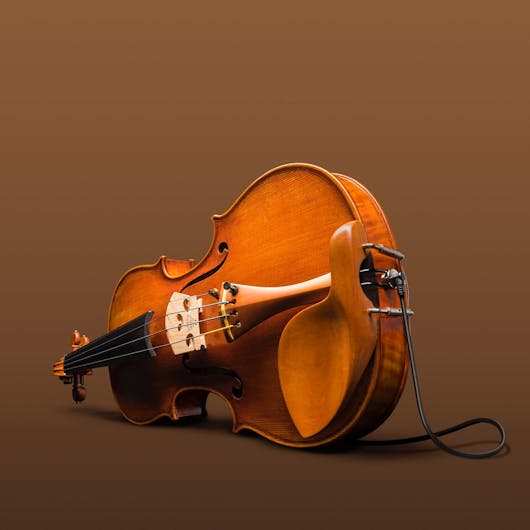 Press Release - Electro Acoustic Series