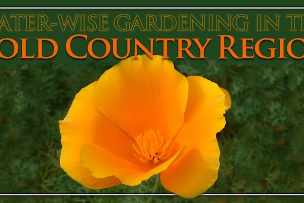 Design for the New California Landscape