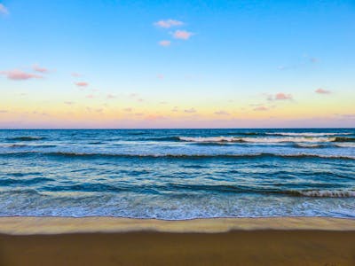 Capybara Documentary: World's Largest Rodent