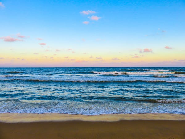 Capybara Documentary: World's Largest Rodent