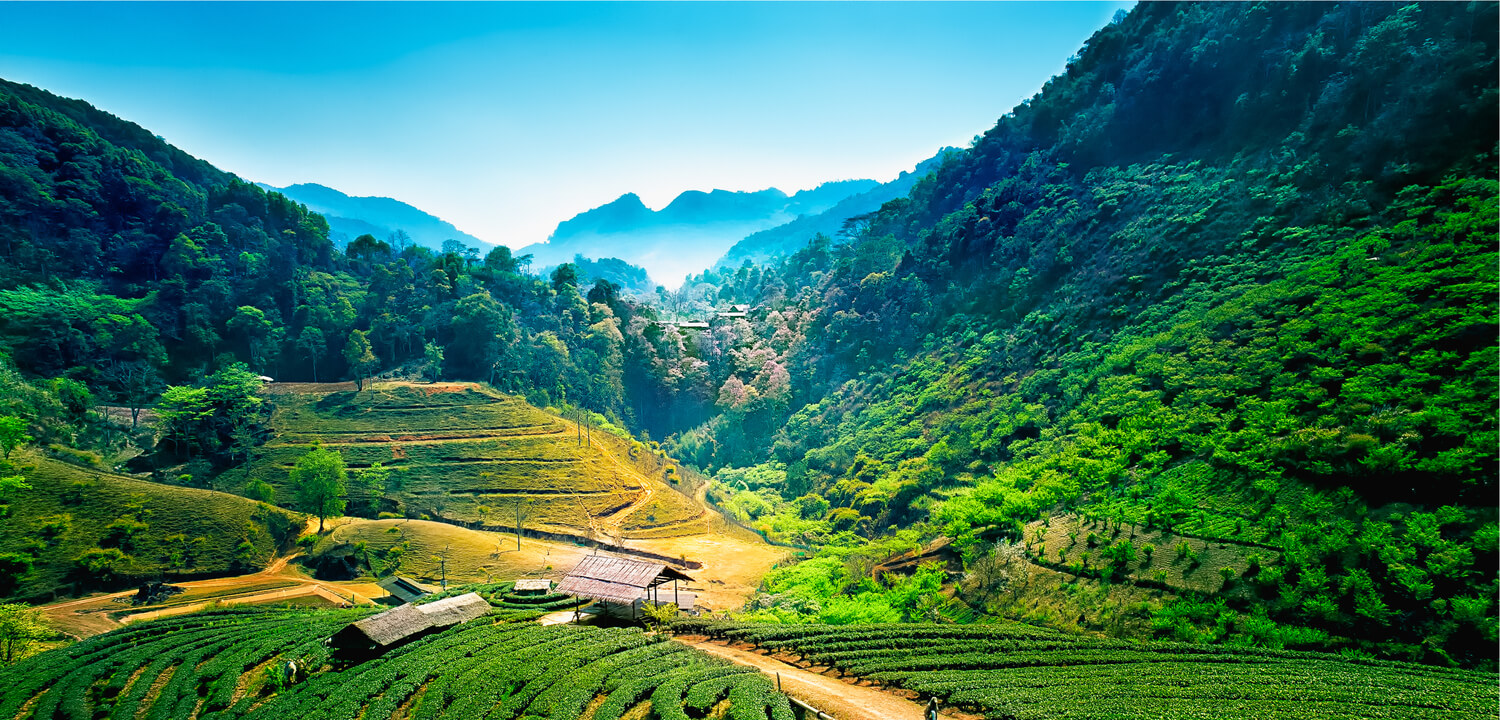 Chiang-Mai-Landscape.jpg
