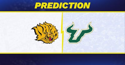 Arkansas-Pine Bluff vs. South Florida Prediction: South Florida Predicted to Win College Basketball Matchup [11/12/2024]