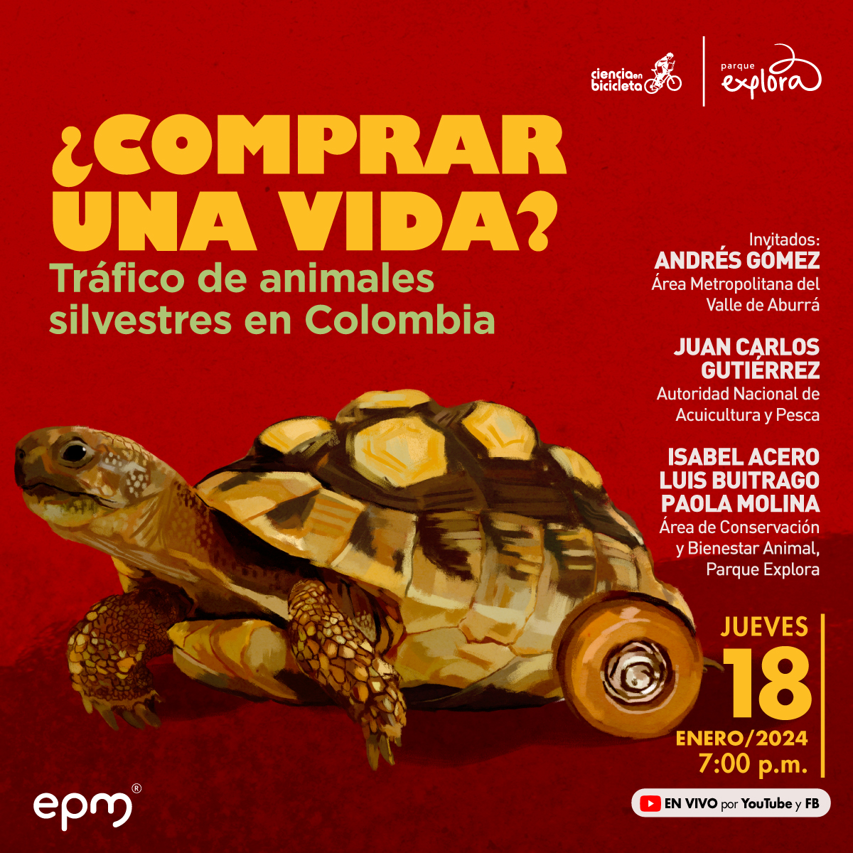 Ilustración. Sobre un fondo rojo se ve una tortuga morrocoy de color amarillo y café, su caparazón tiene placas amarillas y en vez de patas traseras tiene ruedas. En la parte superior un texto: "¿Comprar una vida? Tráfico de animales silvestres en Colombia. Invitados, Andrés Gómez, Área Metropolitana del Valle de Aburrá, Juan Carlos Gutiérrez, Autoridad Nacional de Acuicultura y Pesca, Isabel Acero, Luis Buitrago, Paola Molina, Área de Conservación y Bienestar Animal, Parque Explora. Jueves 18 de enero de 2024, 7 de la noche, en vivo por Youtube y Facebook".