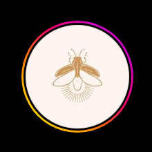 Vagalume logo
