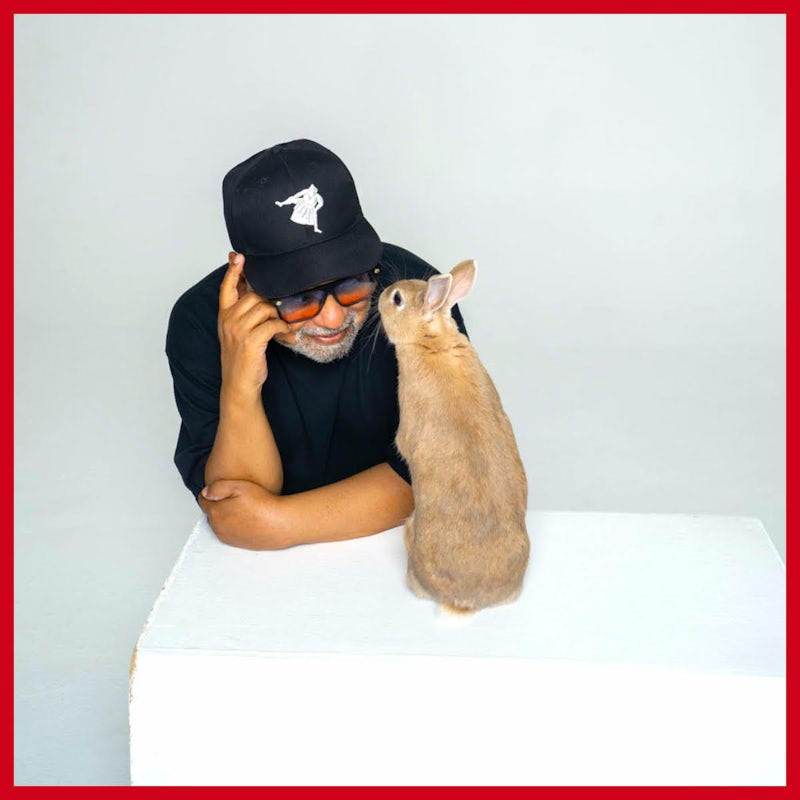 Bluey's December Hour Takeover