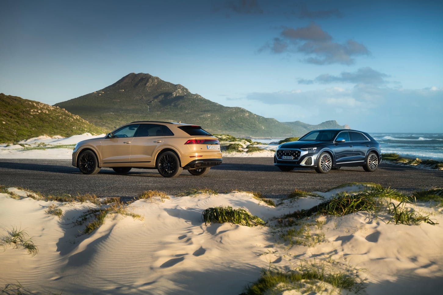 Zwei Audi Q8.