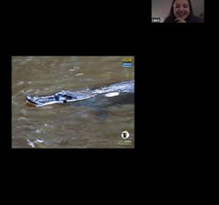 Virtual Platypus Tour's gallery image