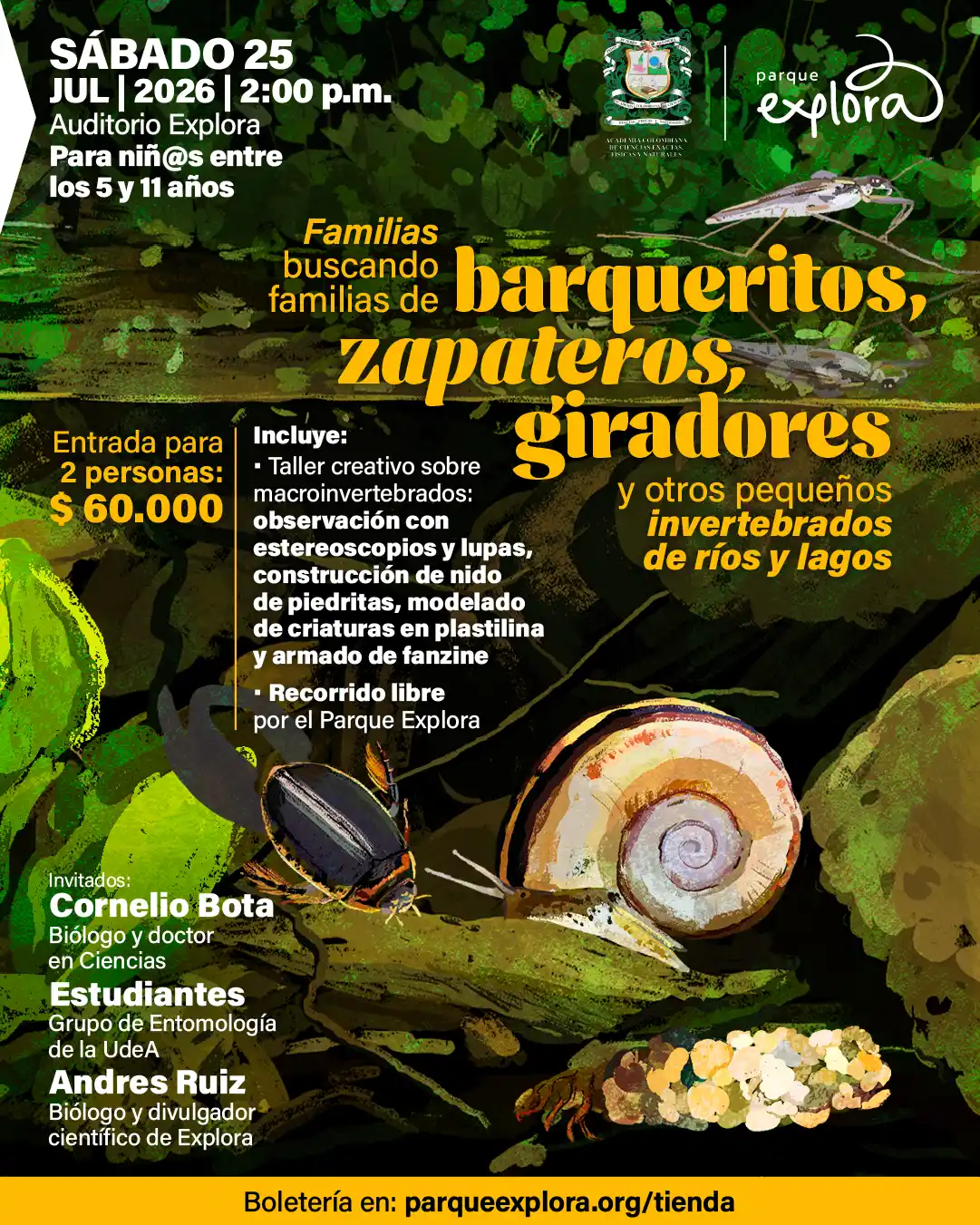 Ilustración de un entorno acuático con hojas, un caracol y un insecto sobre una rama. Texto en la parte superior izquierda: «Sábado veinticinco de julio de dos mil veintiséis a las dos de la tarde. Auditorio Explora. Para niñas entre los cinco y once años». En el centro: «Taller presencial para niños. Familias buscando familias de barqueritos, zapateros, giradores». A la izquierda: «Entrada para dos personas: sesenta mil pesos». A la derecha: «Incluye: taller creativo sobre macroinvertebrados: observación con estereoscopios y lupas, construcción de nido de piedritas, modelado de criaturas en plastilina y armado de fanzine. Recorrido libre por el Parque Explora». A la izquierda inferior: «Invitados: Cornelio Bota, biólogo y doctor en ciencias. Estudiantes grupo de entomología de la UdeA. Andrés Ruiz, biólogo y divulgador científico de Explora». En la parte inferior: «Boletería en parqueexplora punto org tienda».