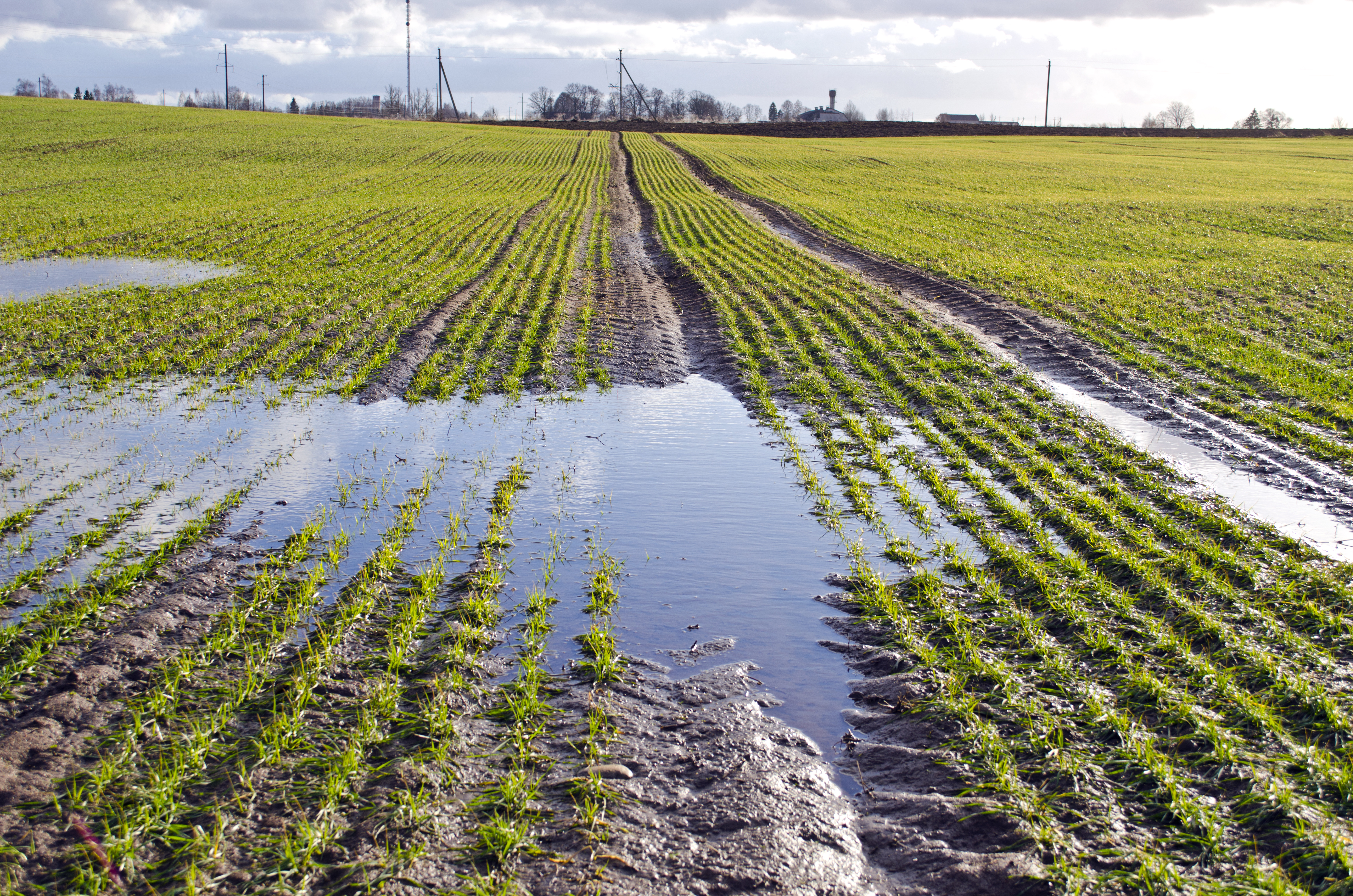 Silo’s Fintech Platform Helps California Farms and Growers Weather Storms Both Natural and Economic