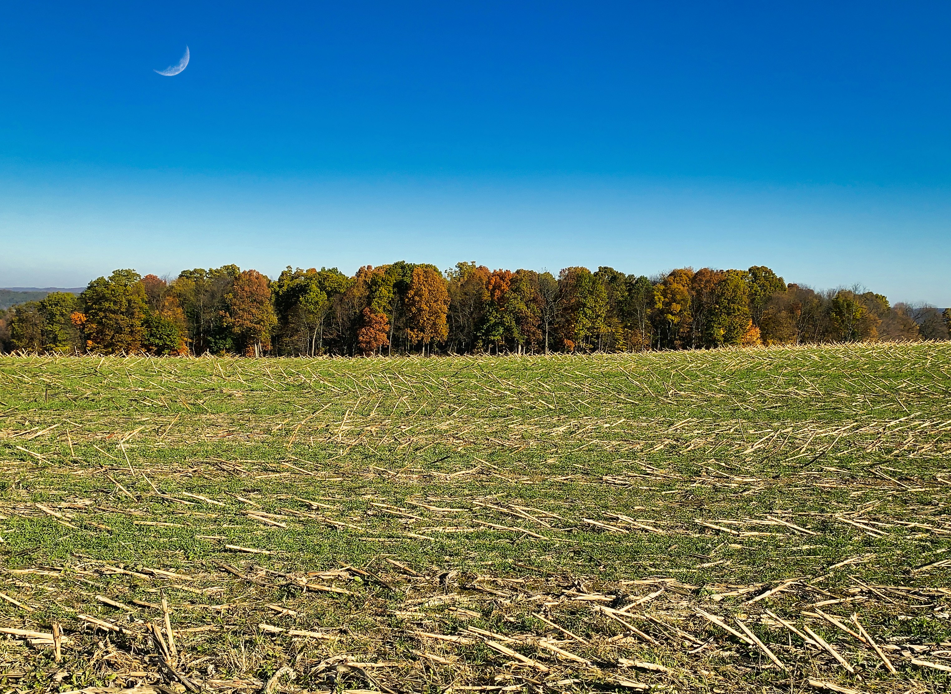 Top Crops Grown In Ohio By Value