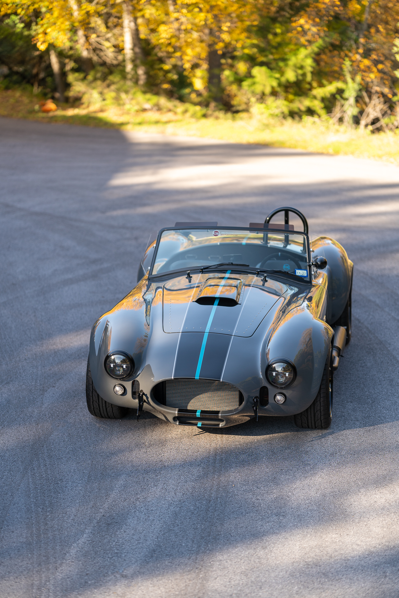 Flat Grey Backdraft Cobra with blue stripes