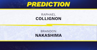 Raphael Collignon vs. Brandon Nakashima Prediction, Odds, Picks for ATP Hamburg Open 2025