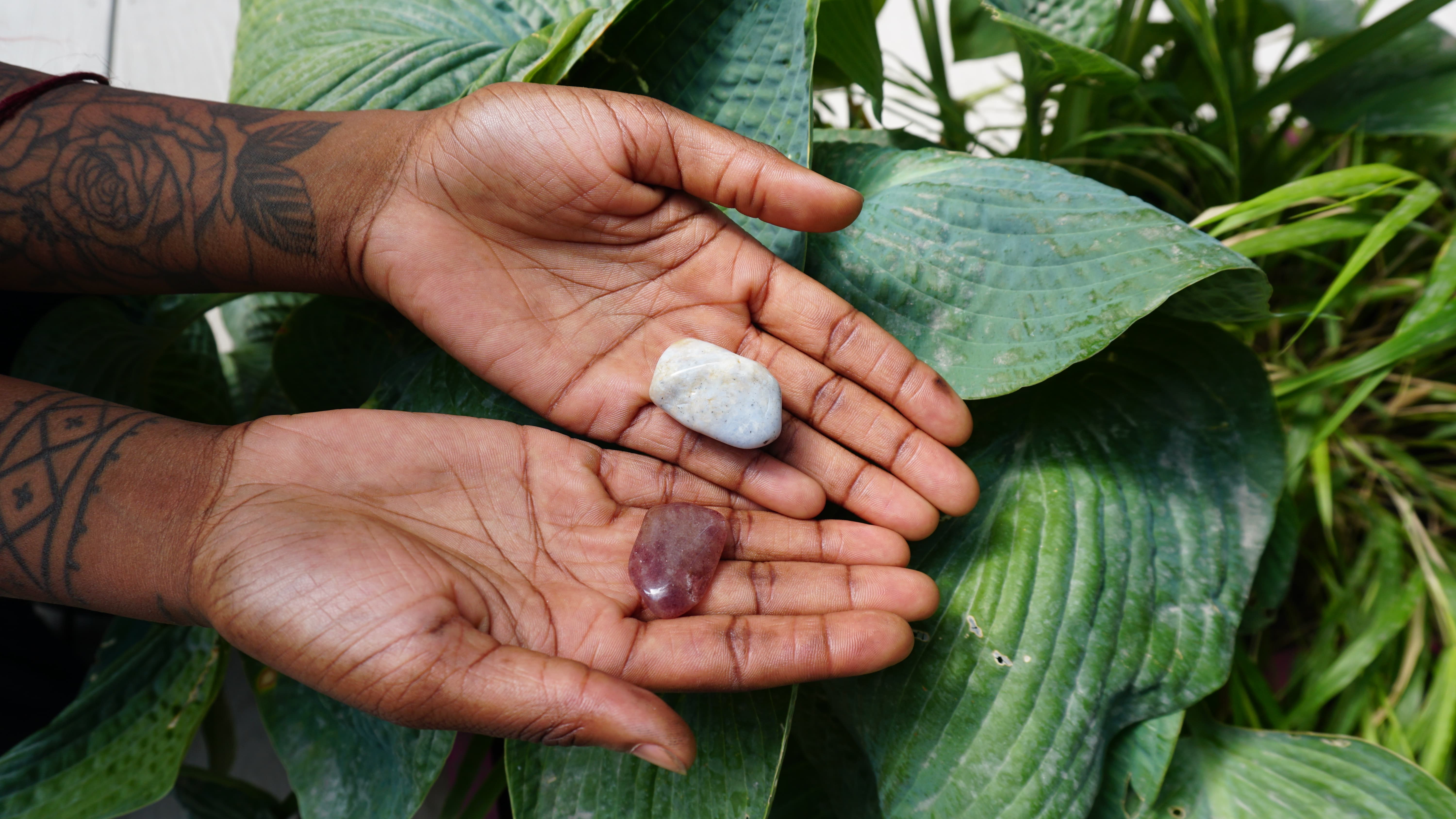 Muva of Earth: Stillness Roots Within with Holmesly