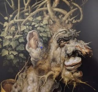 Art, Nature: Arcimboldo, a European Master's gallery image
