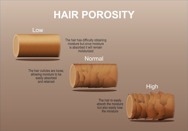 Should hair porosity affect how you care for your hair