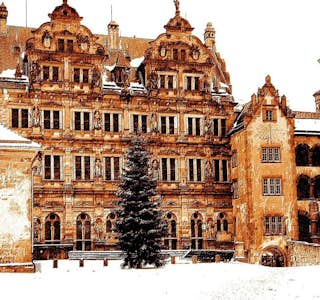 Still Through Heidelberg Castle & Old Town's gallery image