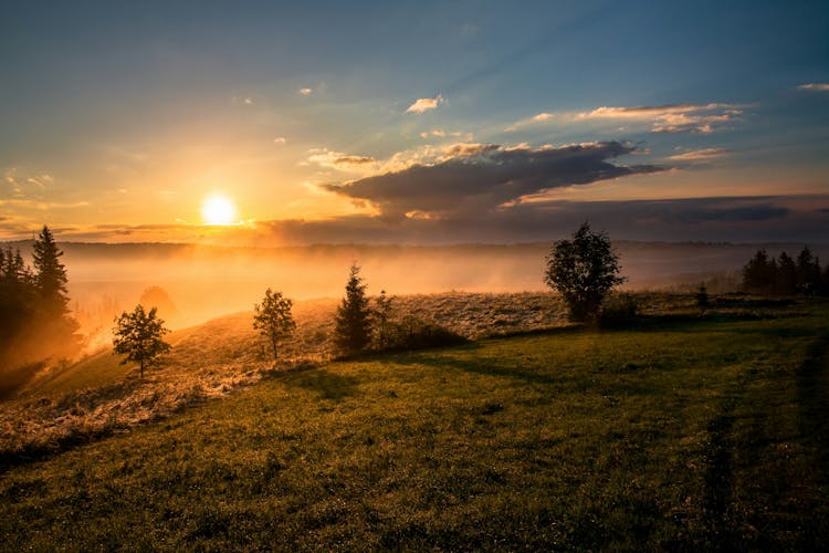 5 Morning Habits That Will Transform Your Day