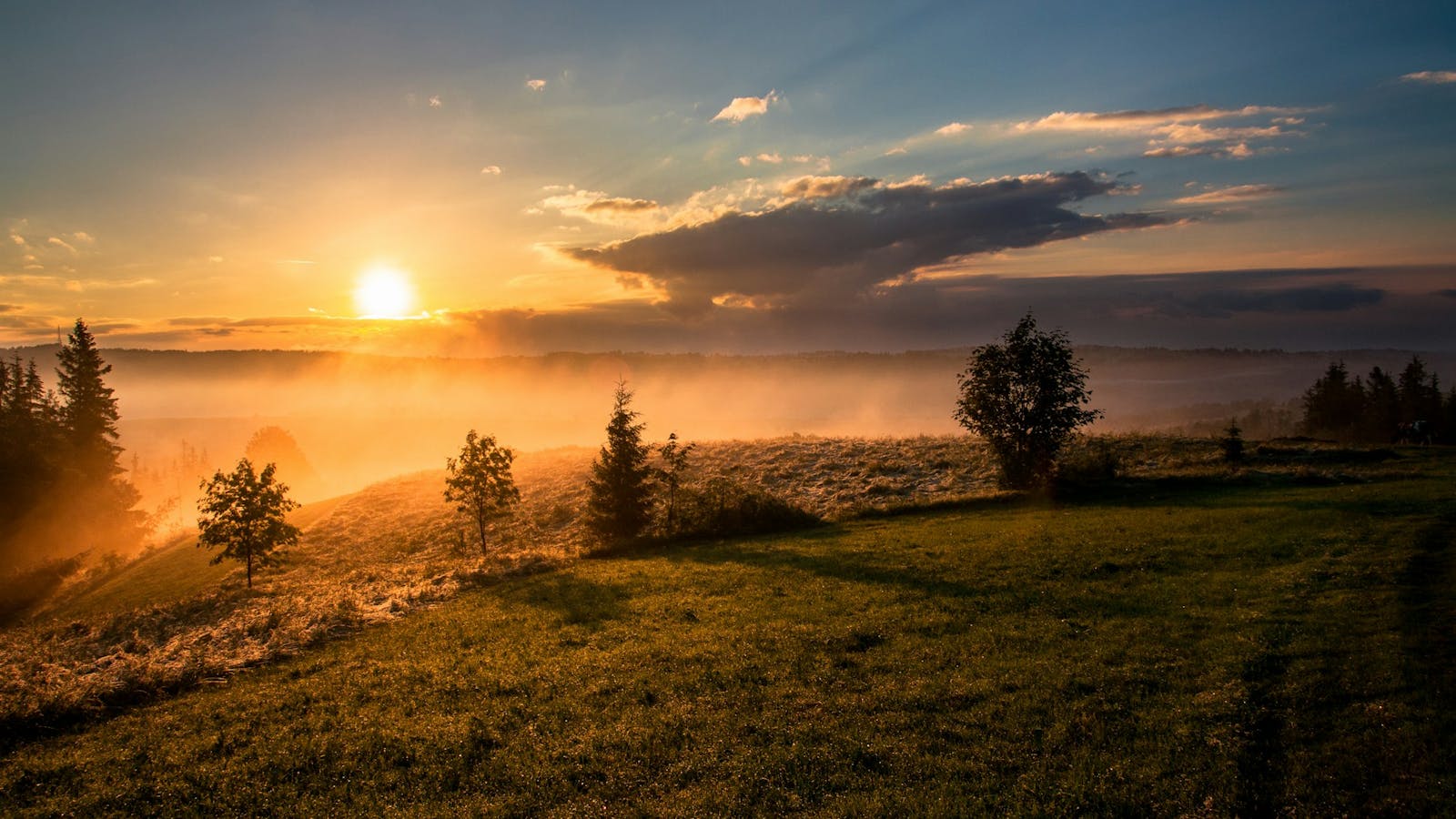 5 Morning Habits That Will Transform Your Day