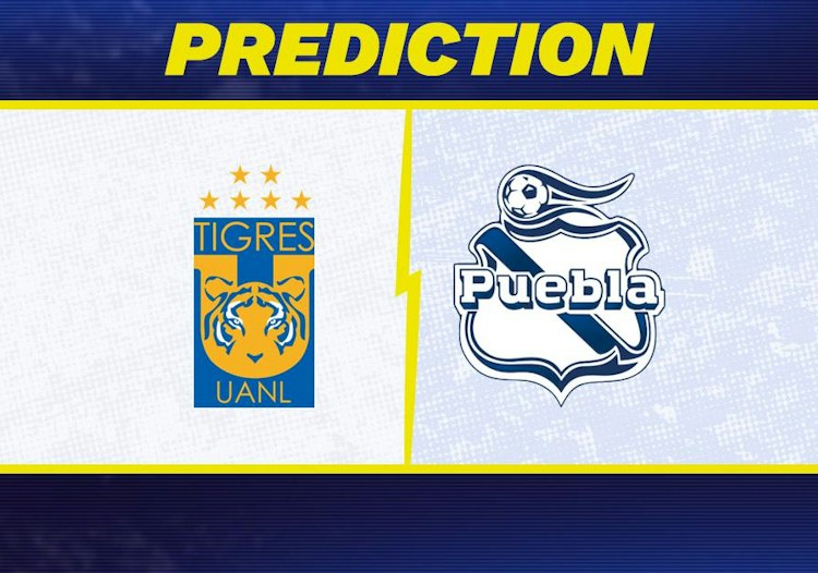 Tigres UANL takes on Puebla in Liga MX action.
