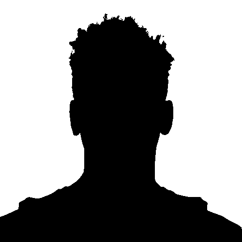 A headshot silhouette of the mystery player you're trying to guess.