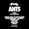 Ants Tulum 2026 @ Zamna Festival