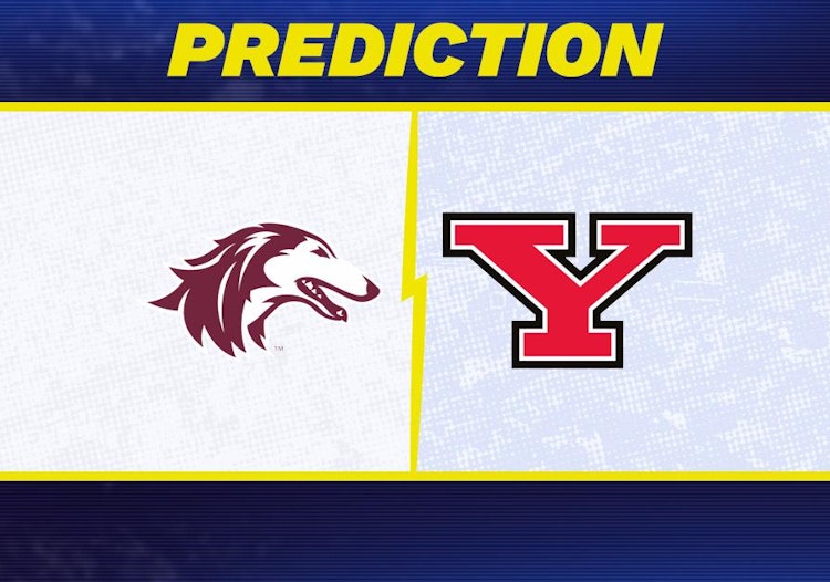 Southern Illinois-Youngstown State Predictions and Game Preview.