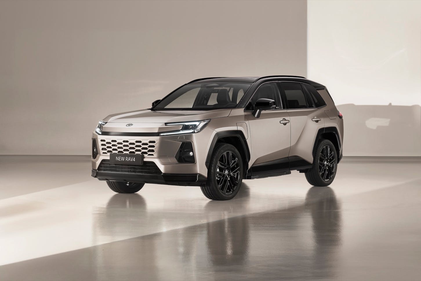 Der Toyota RAV4.